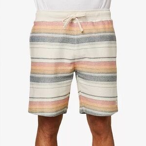O’Neill Men’s Striped Bavaro Shorts (Medium)